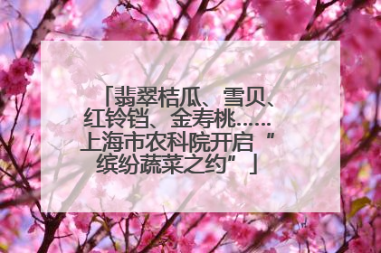 翡翠桔瓜、雪贝、红铃铛、金寿桃……上海市农科院开启“缤纷蔬菜之约”