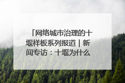 网络城市治理的十堰样板系列报道｜新闻专访：十堰为什么成为“黑马型”城市治理网络维度典型