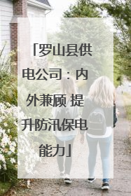 罗山县供电公司：内外兼顾 提升防汛保电能力