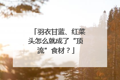 羽衣甘蓝、红菜头怎么就成了“顶流”食材？