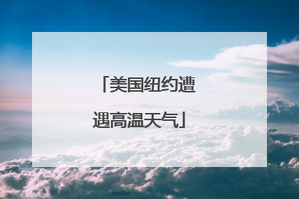 美国纽约遭遇高温天气