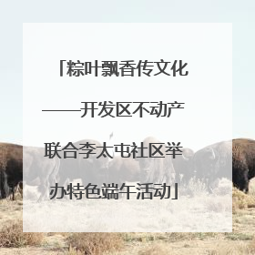 粽叶飘香传文化——开发区不动产联合李太屯社区举办特色端午活动