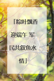 粽叶飘香迎端午 军民共叙鱼水情