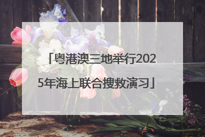 粤港澳三地举行2025年海上联合搜救演习