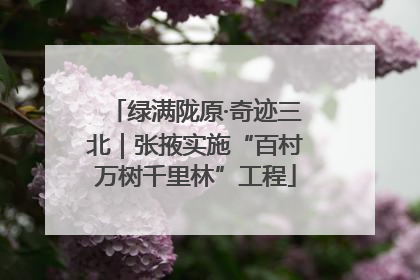 绿满陇原·奇迹三北｜张掖实施“百村万树千里林”工程
