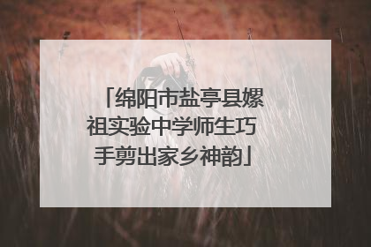 绵阳市盐亭县嫘祖实验中学师生巧手剪出家乡神韵