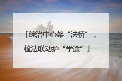 综治中心架“法桥”，检法联动护“学途”