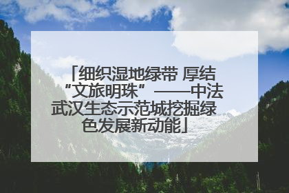 细织湿地绿带 厚结“文旅明珠”——中法武汉生态示范城挖掘绿色发展新动能