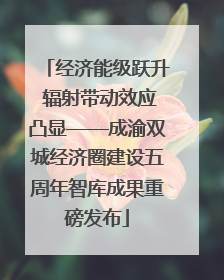 经济能级跃升 辐射带动效应凸显——成渝双城经济圈建设五周年智库成果重磅发布