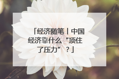 经济随笔丨中国经济靠什么“顶住了压力”？