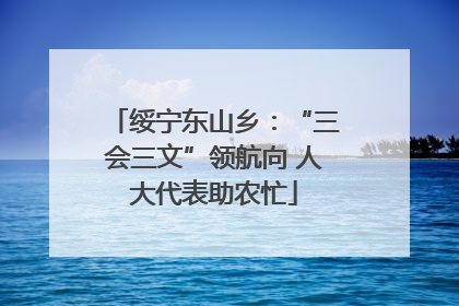 绥宁东山乡：“三会三文”领航向 人大代表助农忙