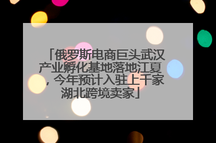 俄罗斯电商巨头武汉产业孵化基地落地江夏，今年预计入驻上千家湖北跨境卖家