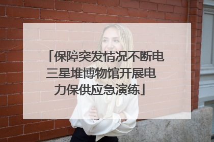 保障突发情况不断电 三星堆博物馆开展电力保供应急演练