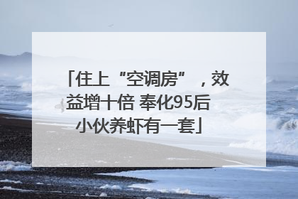 住上“空调房”，效益增十倍 奉化95后小伙养虾有一套