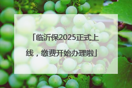 临沂保2025正式上线，缴费开始办理啦