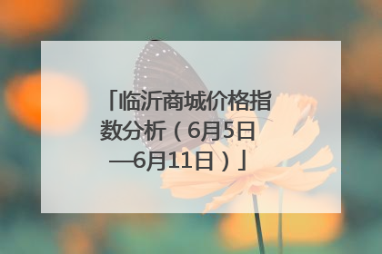 临沂商城价格指数分析（6月5日—6月11日）