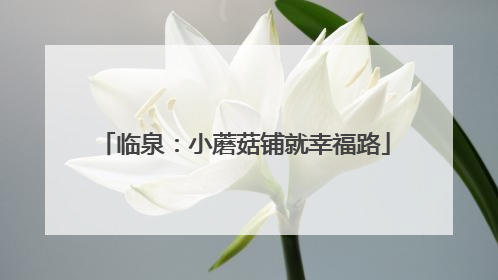临泉：小蘑菇铺就幸福路