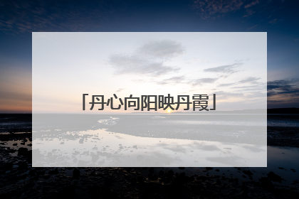 丹心向阳映丹霞