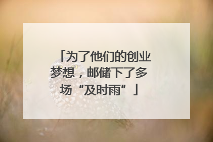 为了他们的创业梦想，邮储下了多场“及时雨”