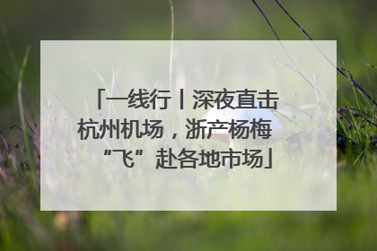 一线行丨深夜直击杭州机场，浙产杨梅“飞”赴各地市场