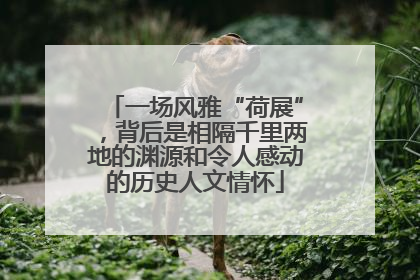 一场风雅“荷展”，背后是相隔千里两地的渊源和令人感动的历史人文情怀