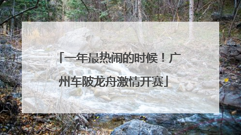 一年最热闹的时候！广州车陂龙舟激情开赛