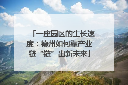 一座园区的生长速度：德州如何靠产业链“链”出新未来