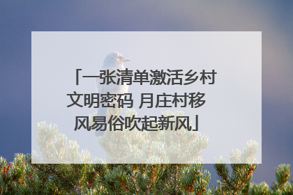 一张清单激活乡村文明密码 月庄村移风易俗吹起新风