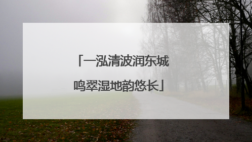 一泓清波润东城 鸣翠湿地韵悠长