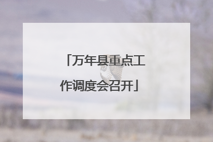 万年县重点工作调度会召开