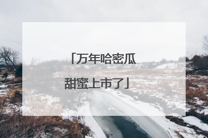 万年哈密瓜甜蜜上市了