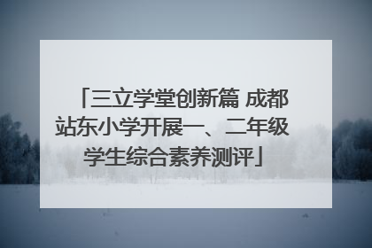 三立学堂创新篇 成都站东小学开展一、二年级学生综合素养测评