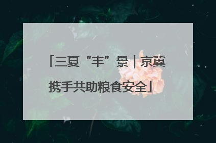 三夏“丰”景｜京冀携手共助粮食安全