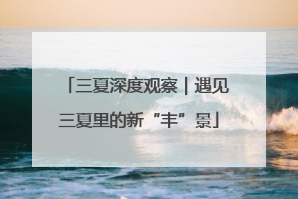 三夏深度观察｜遇见三夏里的新“丰”景