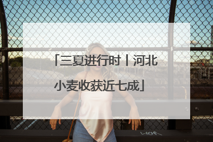 三夏进行时丨河北小麦收获近七成