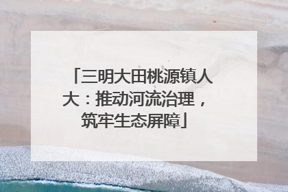 三明大田桃源镇人大：推动河流治理，筑牢生态屏障