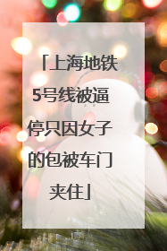 上海地铁5号线被逼停只因女子的包被车门夹住