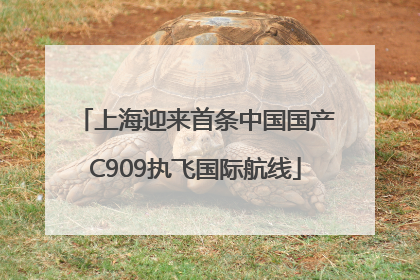 上海迎来首条中国国产C909执飞国际航线