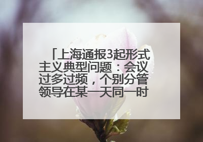 上海通报3起形式主义典型问题：会议过多过频，个别分管领导在某一天同一时段需参加3个会议