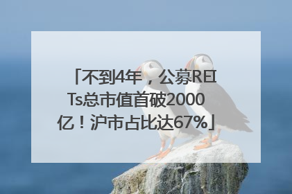不到4年，公募REITs总市值首破2000亿！沪市占比达67%