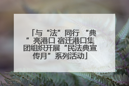 与“法”同行 “典”亮港口 宿迁港口集团组织开展“民法典宣传月”系列活动