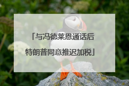 与冯德莱恩通话后 特朗普同意推迟加税