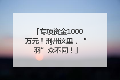 专项资金1000万元！荆州这里，“羽”众不同！