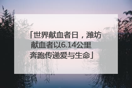 世界献血者日，潍坊献血者以6.14公里奔跑传递爱与生命
