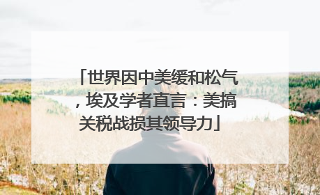 世界因中美缓和松气，埃及学者直言：美搞关税战损其领导力