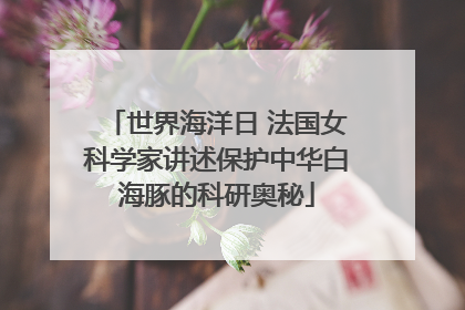 世界海洋日 法国女科学家讲述保护中华白海豚的科研奥秘