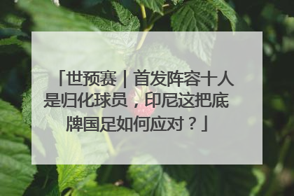 世预赛｜首发阵容十人是归化球员，印尼这把底牌国足如何应对？