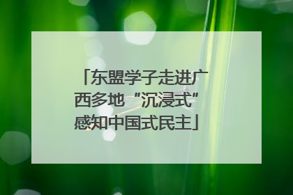 东盟学子走进广西多地“沉浸式”感知中国式民主