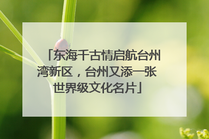 东海千古情启航台州湾新区，台州又添一张世界级文化名片