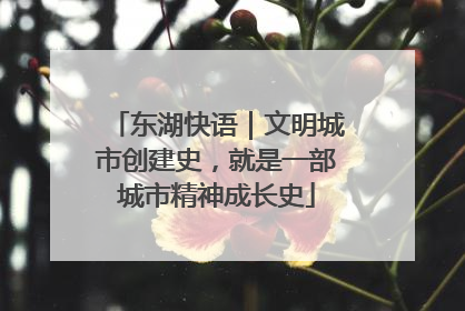 东湖快语｜文明城市创建史，就是一部城市精神成长史